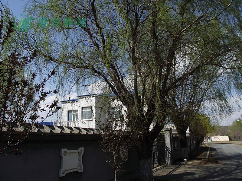 welcome-球速体育